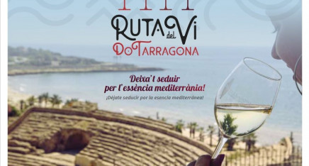 Pla estratègic per a l’estructuració de la ruta del vi de la DO Tarragona
