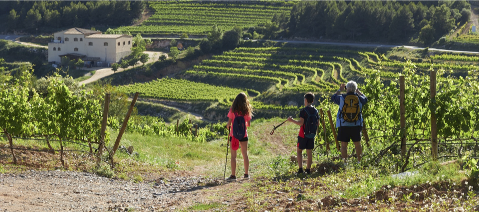 Pla competitivitat turística ruta del vi del Priorat